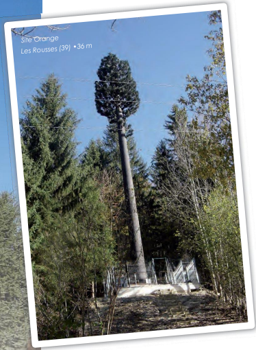 Pylônes arbres accès intérieur SEKOIA - standard 15 à 30m, tronc marron/noir, échelle Soll, plateforme extérieure_0