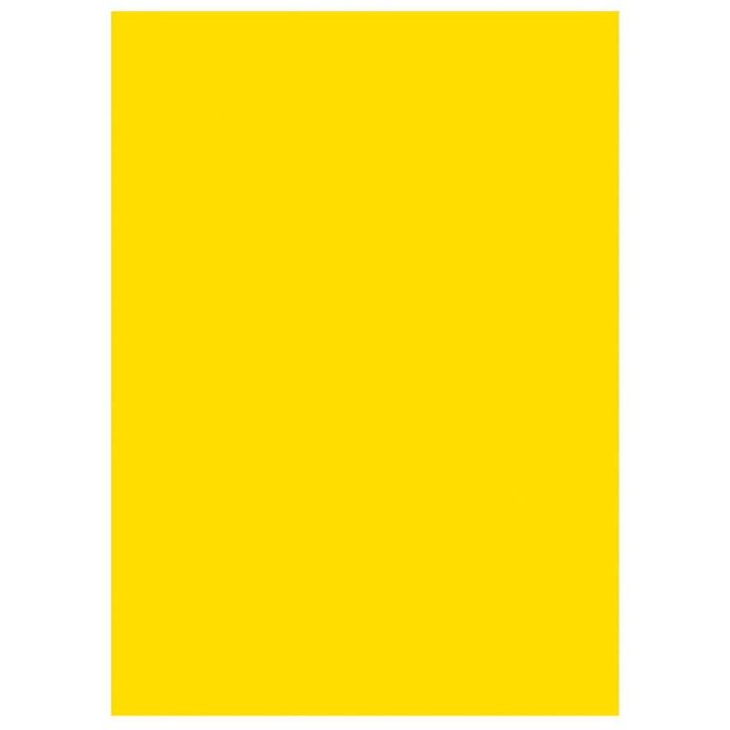 STAPLES CHEMISES-DOSSIERS - VIF - SOLEIL EN CARTE - 220G/M² (LOT DE 100)