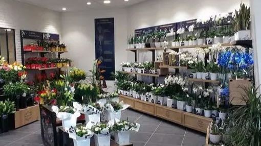 Logiciel de caisse, gestion stock et magasin adapté à la plupart des fleuristes -FirstMag_0