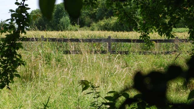 Clôture type ranch - clôtures en bois - les piquets couardais - avec des piquets d'une hauteur de 2 m_0