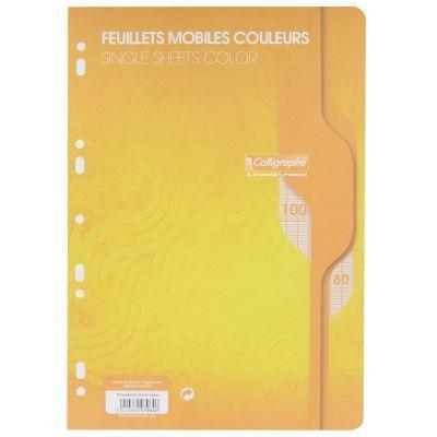 Feuillets Mobiles Hamelin 100 Pages - Format A4 (21x29,7 Cm) - Grands Carreaux - Papier 70 G - Pour Classeurs - 9