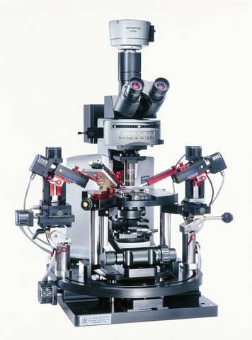 Bx51wi - microscope platine fixe_0