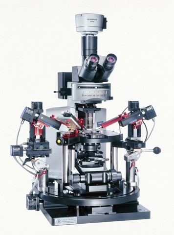BX51WI - Microscope à platine fixe pour expériences physiologiques et microscopie intravitale_0