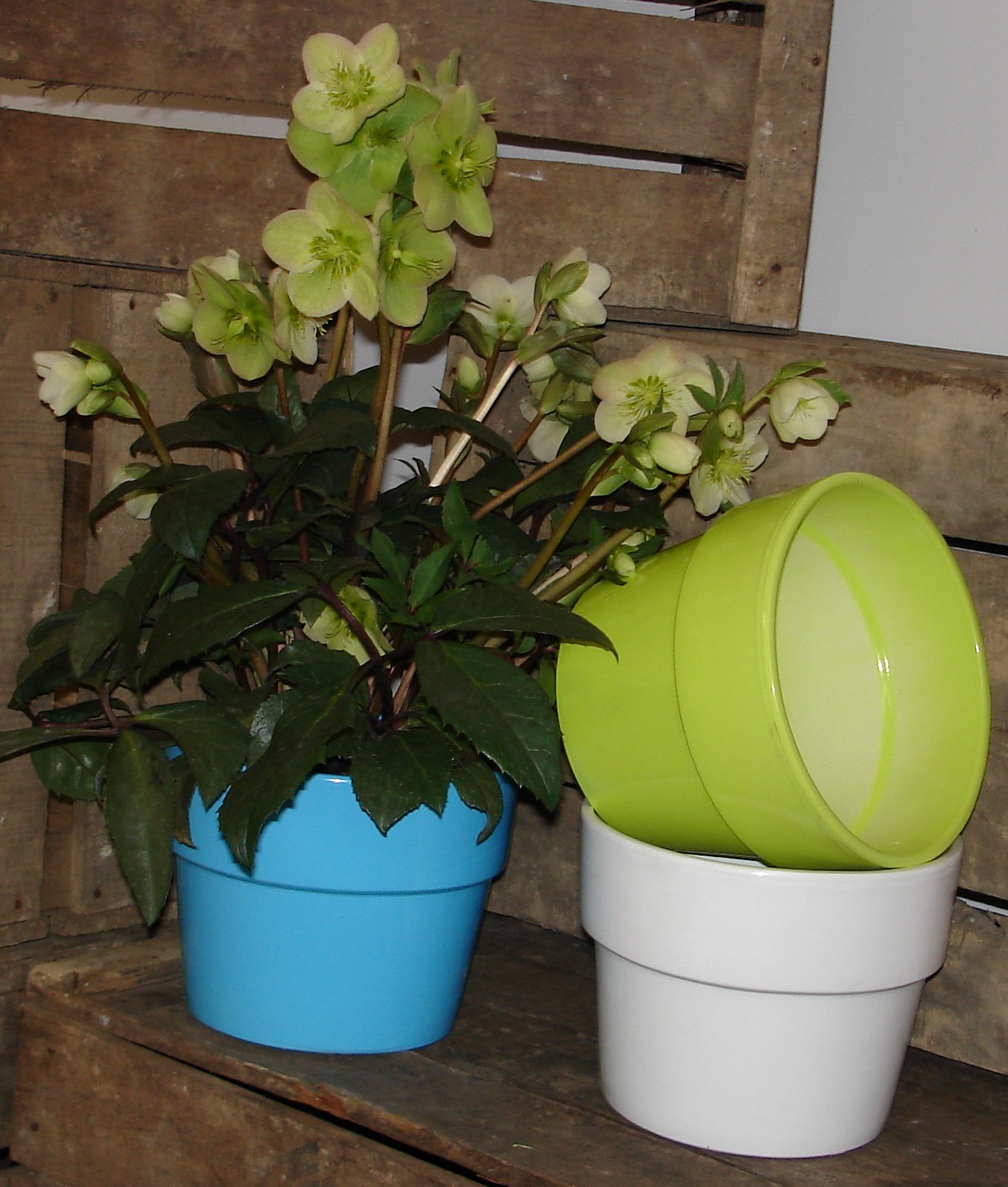 Pot de fleur Caluna - Percé - Diamètre de 13 à 45 cm - Disponible en plusieurs couleurs_0