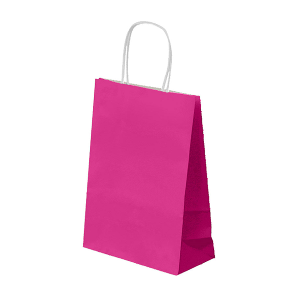 250 sacs kraft couleur à poignées torsadées 200x100x290 mm - SKFTPTFS-GP02_0