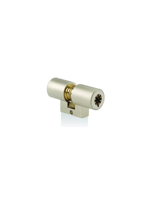 CYLINDRE MONOBLOC FONTAINE 40X40MM À 5 AILETTES SAILLANT - POLLUX - 950544
