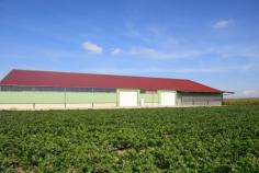 Hangars agricoles - stockage de légumes, isolé_0