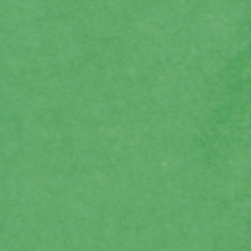 PAPIER DE SOIE, ROULEAU DE 24 FEUILLES 18G/M2 AU FORMAT 50X75CM - VERT PRÉ - LOT DE 10