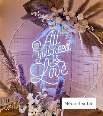 Enseigne flexible néon pour un style et éclairage unique_0