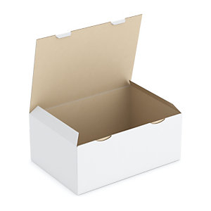 BOÎTE CARTON BLANCHE D'EXPÉDITION RAJAPOST 43X30X18 CM