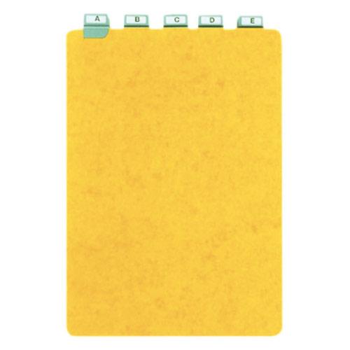 GUIDES A ONGLET METALLIQUE - 29,7X21 CM - POUR BOÎTE A FICHES - FORMAT A4 PORTRAIT/VERTICAL - JEU DE 25