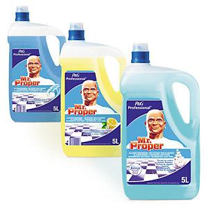 NETTOYANT PARFUMÉ MR PROPRE