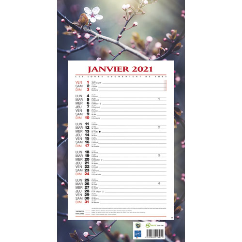 Calendrier mensuel 18,6x13,5cm Mark's Inc.