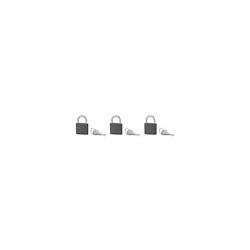 Lot de 3 cadenas BASIC gris à clé, base 40 mm, anse acier cémenté, s'entrouvrant, 3 clés/cad. - SP - gris 3150269882408_0