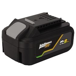 Batterie Lithium EGO 20V 4 Ah Gamme sans fil 20V VITO - noir 3663936037761_0