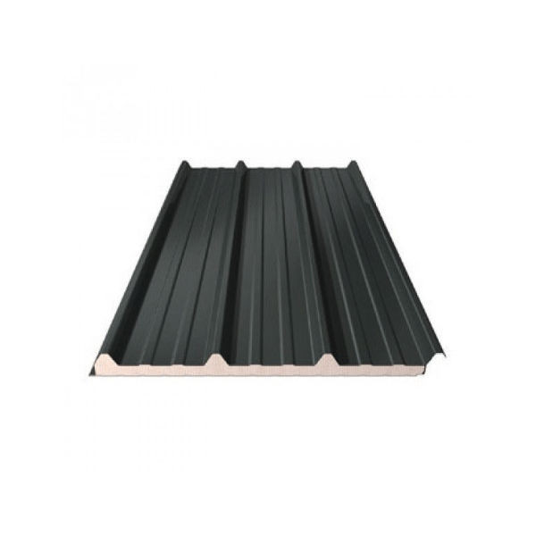 Panneau sandwich de toiture 60 mm Gris (RAL 7016) - 1m x 3,10 m_0