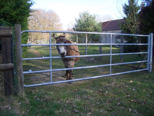 Barrière d'herbage eco 5/6 m - jourdain_0