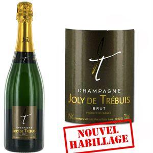 CHAMPAGNE - CHAMPAGNE JOLY DE TREBUIS