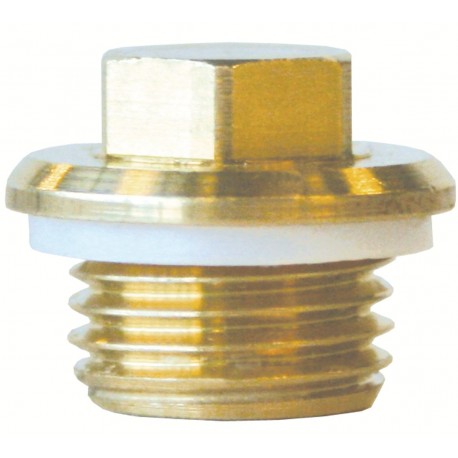 Bouchon pour orifice de pression - Référence 894.00 - Compatible corps de vannes modèles 860M, 860MB et 860MA_0