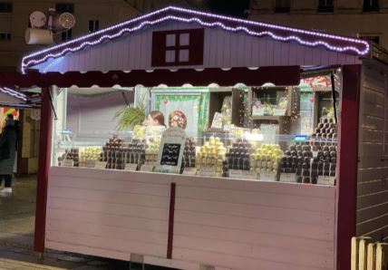 Chalet pliable neuf 4 m - Montage en 5 minutes avec structure en acier galvanisé et bois épicéa_1