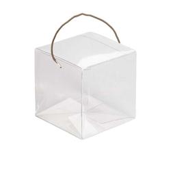 PAPA France - Boîte poule transparente 24x16x25cm - APET 350 microns - POULPVC3_0