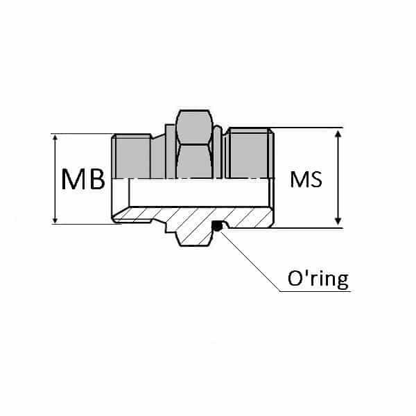 Adaptateur droit mâle BSP pour bague BS x mâle SAE - 1/2' , 20.95 , 1