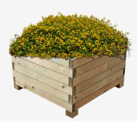 Jardinière Madera UM1640-4 - Bois de pin traité autoclave classe IV_0