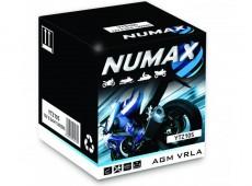Batterie Numax Premium AGM VRLA YT12BS / YS12-12-BS - Sans entretien, conforme JIS et JLS, 12V, 10Ah_0