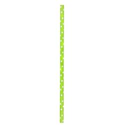 ECOLOMIQUE - 500 Pcs - Chalumeau papier à pois vert citron - L: 0,6 cm, H: 19,7 cm - ECO210CHP19DLG - vert papier ECO210CHP19DLG_0