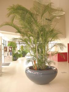 Jardinières vasque en polyester - moulage en fibre de verre - matériau léger et résistant_0