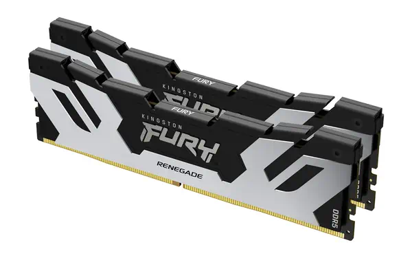 48 Go 8000 MT/s DDR5 CL38 DIMM (Kit de 2) FURY Renegade Silver_0