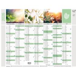 Quo Vadis - Calendrier mural - 2026 - Français - Equology - Multicolore - 14 mois de décembre à janvier - 27x21 cm - Papier Clairefontaine recyclé_0