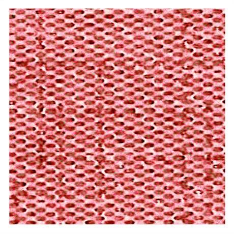 SERVIETTE DRY COTTON 55 G/M² 40X40 CM AIRLAID BORDEAUX (VENDU PAR 700)