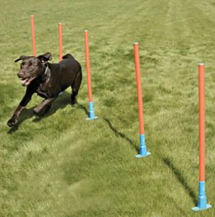 Slalom agility Garden en PVC - 5 piquets robustes pour exercice extérieur_0