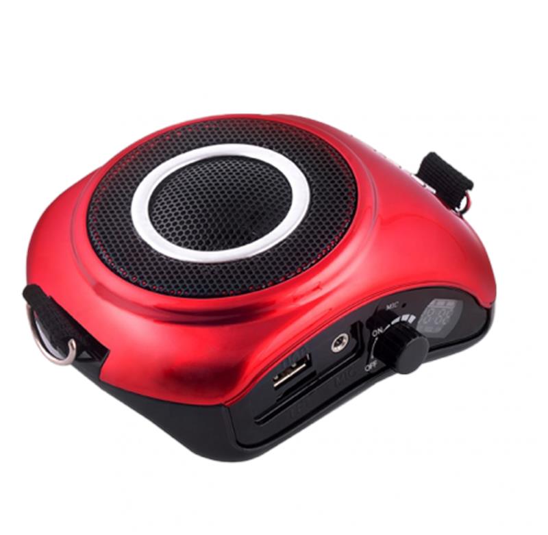 Amplificateur vocal WAP 20R RONDSON 10W - Micro serre-tête - Lecteur MP3, USB, SD, Tuner FM_0