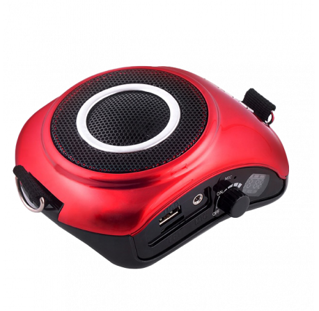 Amplificateur vocal WAP 20R RONDSON 10W - Micro serre-tête - Lecteur MP3, USB, SD, Tuner FM_0