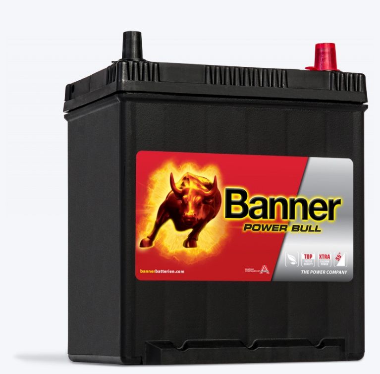 P40 25 ASIA - Batterie de démarrage Banner Power Bull - De 40 Ah à 110 Ah, qualité premium_0