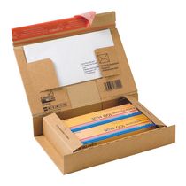 BOITE POSTALE CARTON 21,5 X 15,5 X 4,3 CM - LOT DE 20