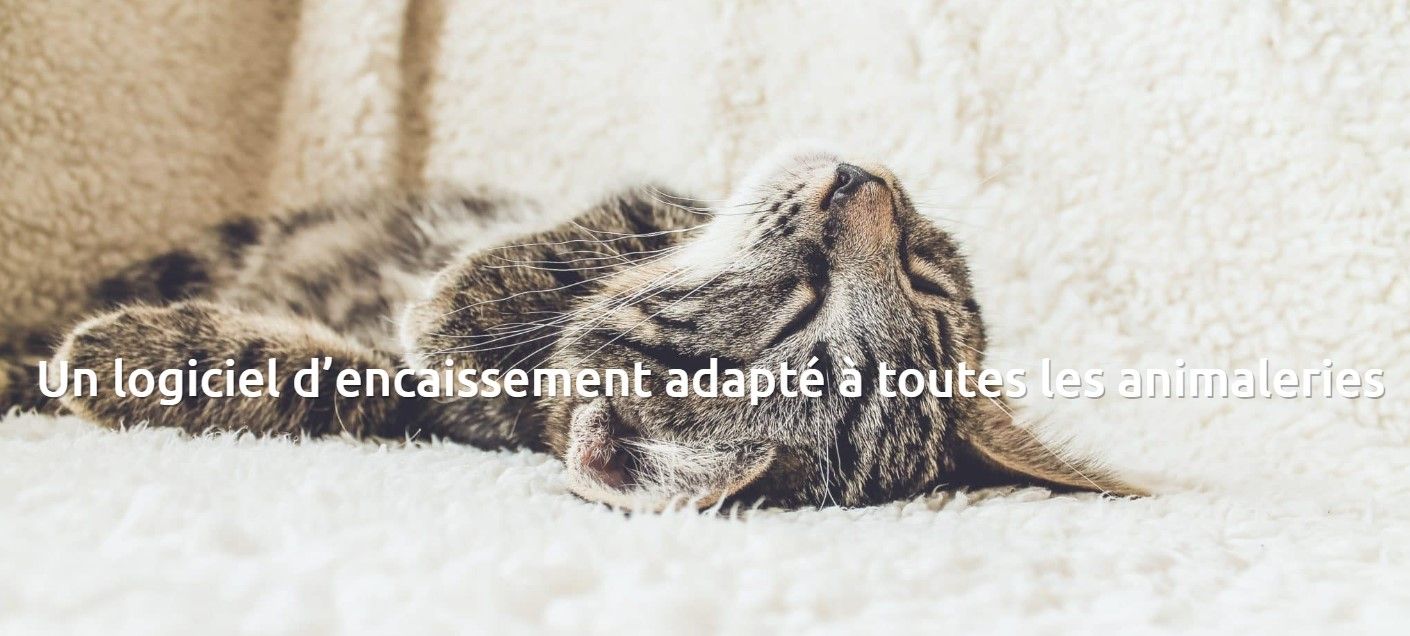 Logiciels d'encaissement - gestmag - pour toutes les animaleries_0