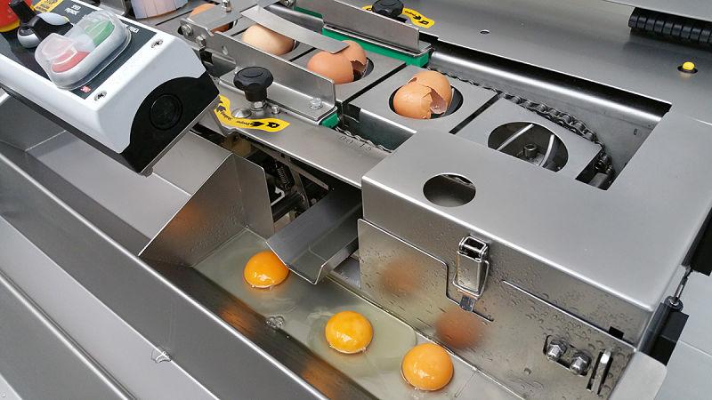 Machine casseuse d'œufs - séparation jaune/blanc - modèles RZ-1 à RZ-8 - capacité jusqu'à 25 600 œufs/heure_0