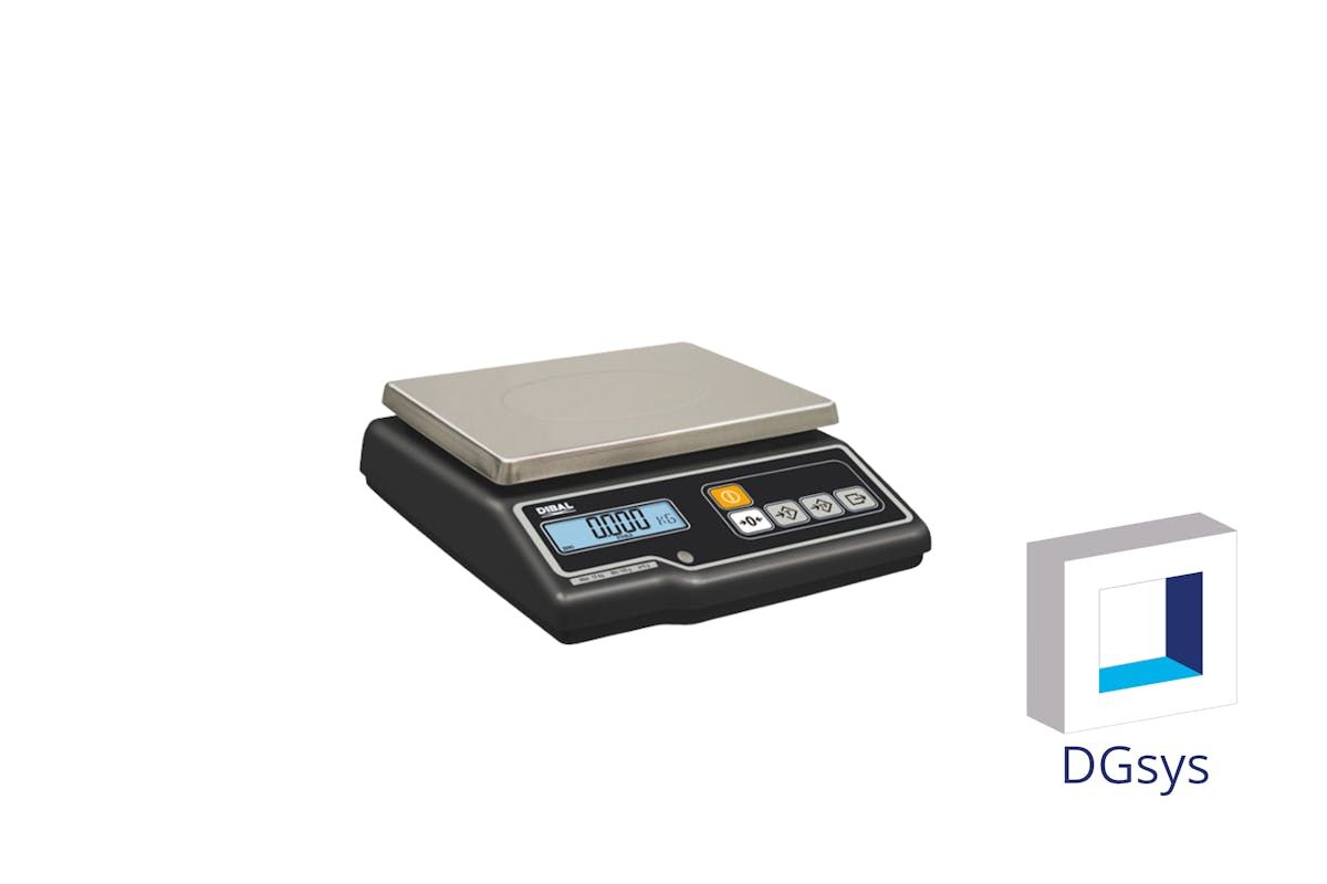 Balance de contrôle DIBAL sans ticket - G-305/6_0
