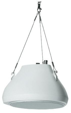 Enceinte sphérique CSR-450W RONDSON - 30W - 2 voies bass-réflex - Transformateur de ligne 70/100V_0