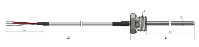 Sonde de résistivité chemisée (RTD) - Raccord fixe avec câble de prolongation - PM40_0