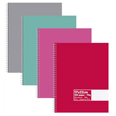 CAHIER ECO - SPIRALES - COUVERTURES CARTE - 100 PAGES - 17X22 CM - PETITS CARREAUX - ASSORTIS - LOT DE 10