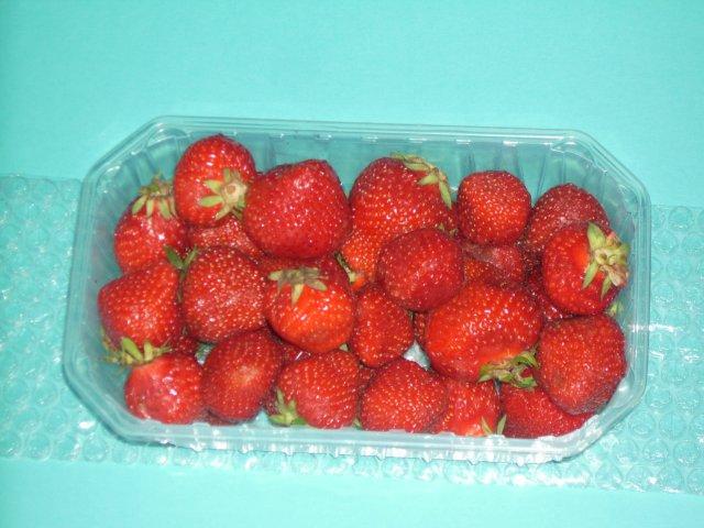 Film à bulles spécial produits frais - Conditionnement fruits et légumes - Maraîchers, primeurs et sites internet - CBS Emballages_0