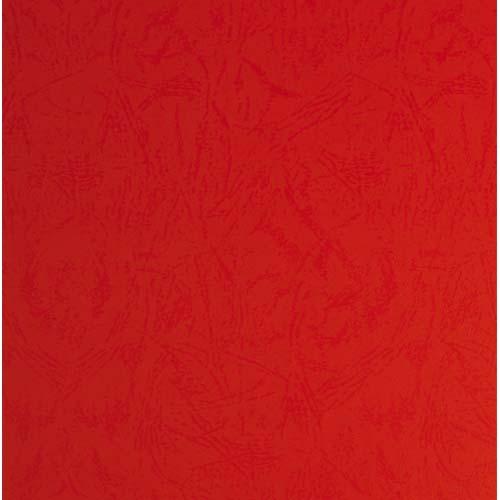 PLATS DE COUVERTURE, GRAIN CUIR, A4, ROUGE - LOT DE 2