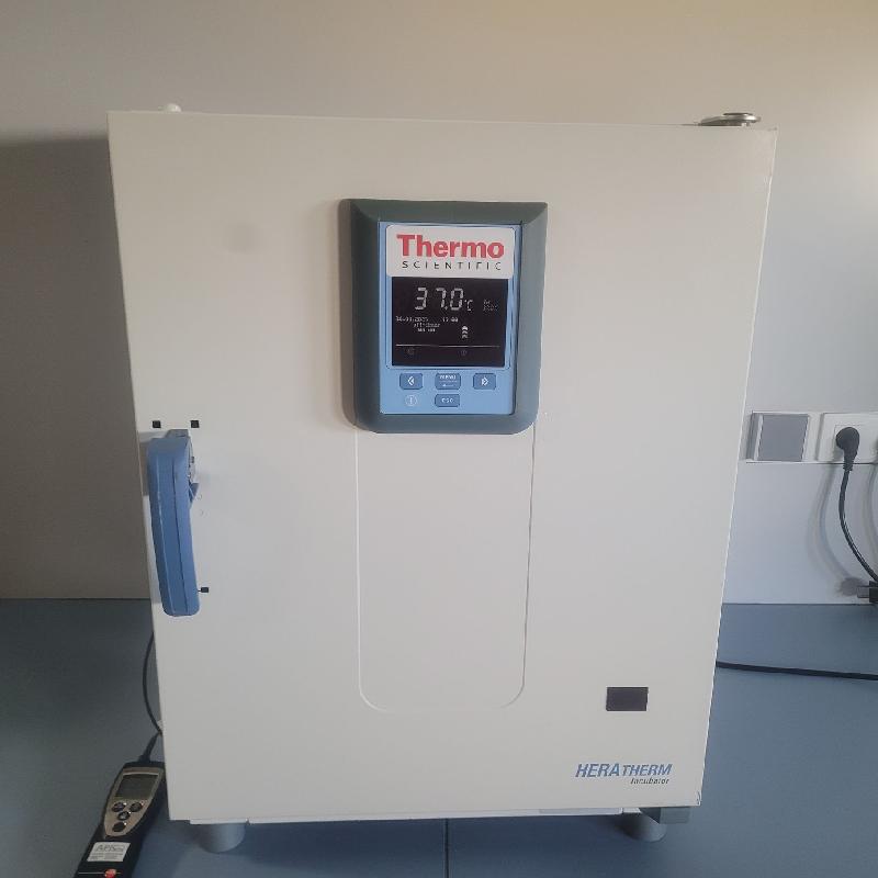 Incubateur / étuve Thermo Scientific Heratherm IMH60 avec convection forcée 105°C_0