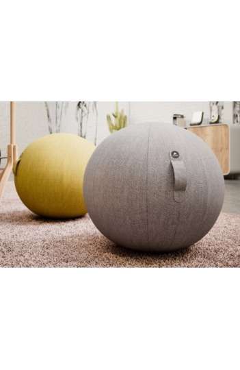 Ballon ergonomique pour bureau - prévention TMS - poignée intégrée - diamètre 65 cm_0
