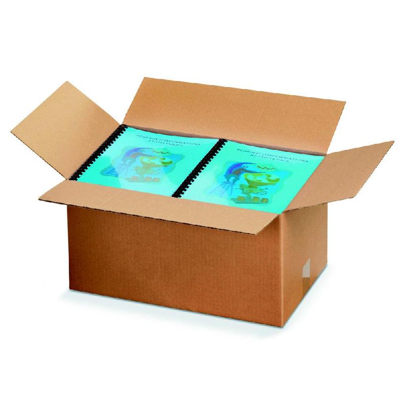 CAISSE AMERICAINE RAJA CARTON SIMPLE CANNELURE - L.INT. 35 X L.22 X H.20 CM - KRAFT BRUN - LOT DE 25