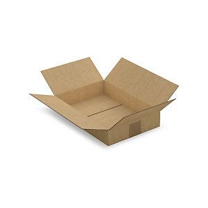 CAISSE CARTON BRUNE SIMPLE CANNELURE RAJA 31X21,5X5,5 CM